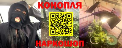 шишки Донской
