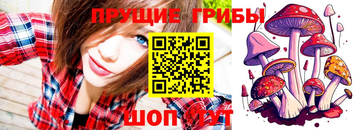 Галлюциногенные грибы Magic Shrooms  Псилоцибиновые грибы Psilocybe  Вход с VPN  Магнитогорск 